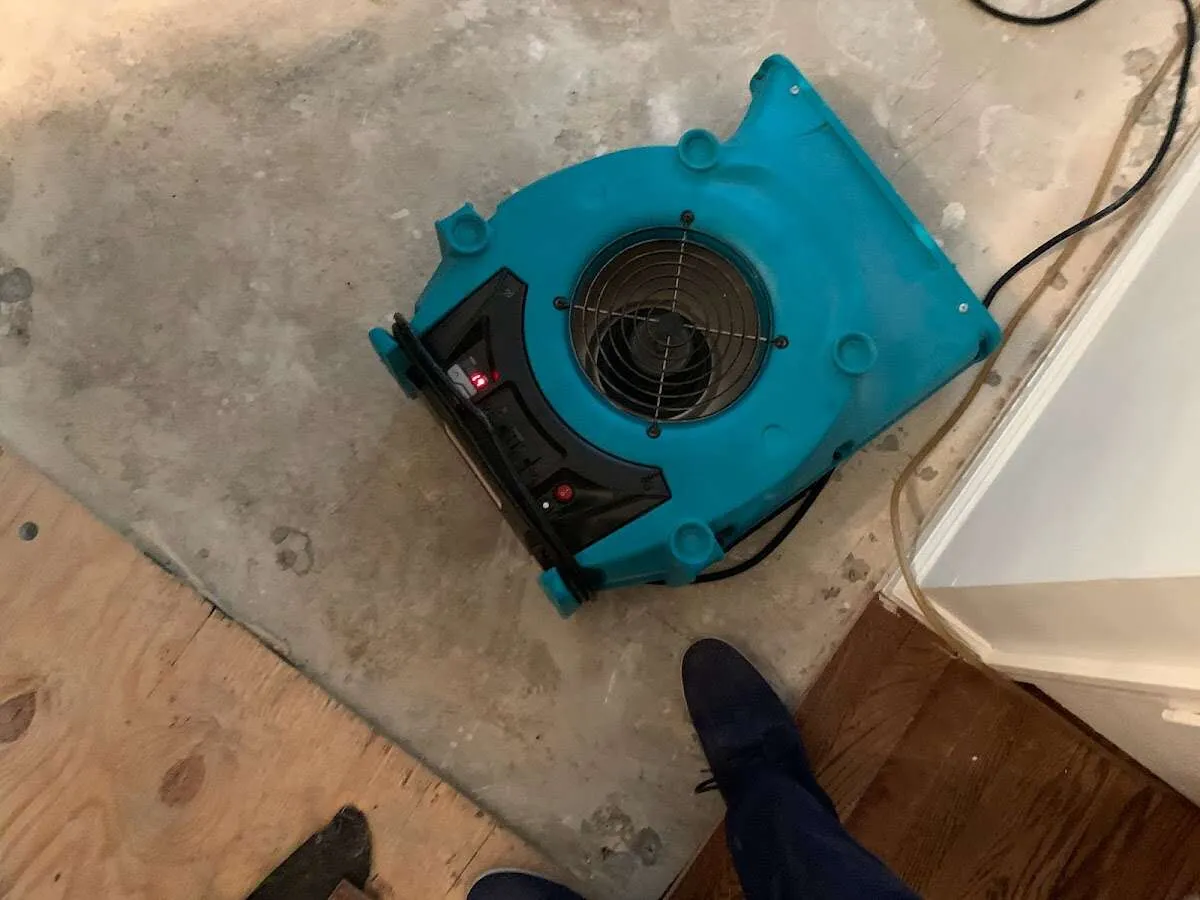 Air mover drying subfloor during Commercial Water Damage Restoration in Grosse Pointe Park