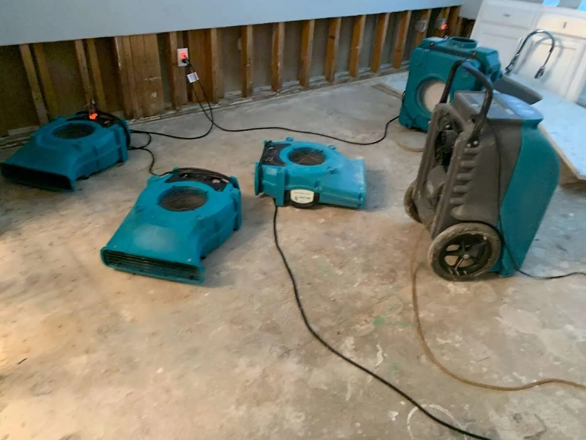 Water Damage Restoration services in Grosse Pointe Park, MI