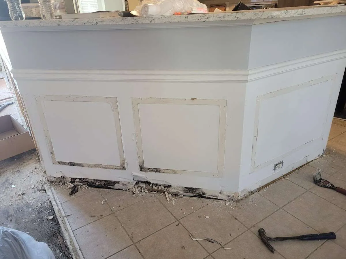 Water damage and mold on kitchen during Sewage Cleanup & Sanitation in Grosse Pointe Park